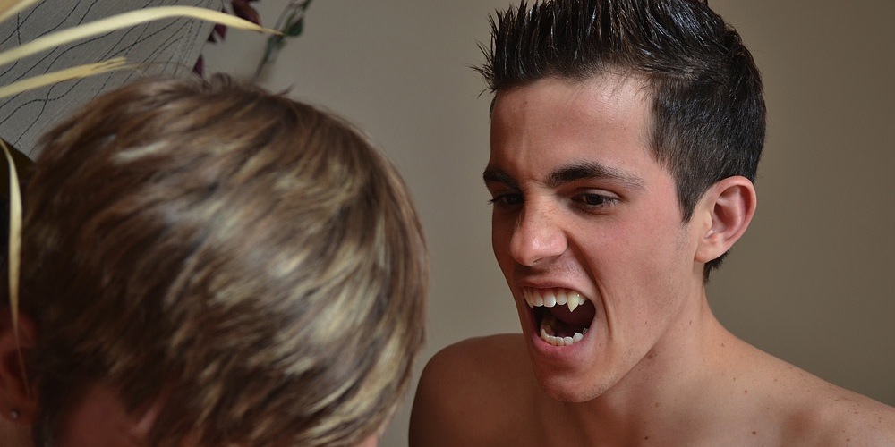 Twinklight Episode Guide